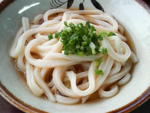 P1001524-0.JPG