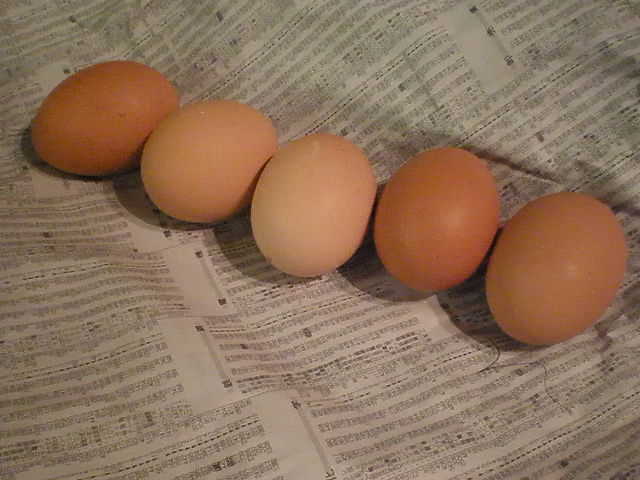 P1059006-0.JPG