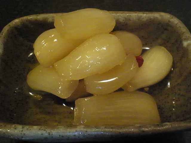 P1069020-0.JPG