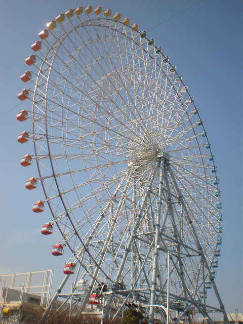 P1189293-1.JPG