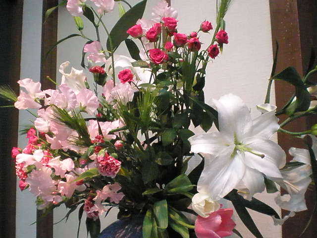 P1245200-0.JPG