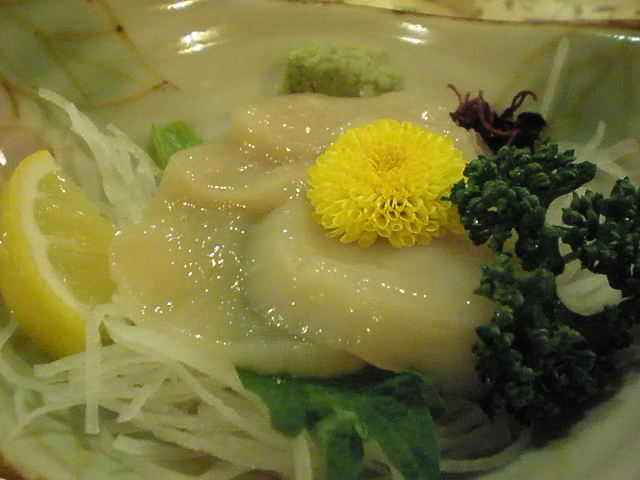 P2040076-0.JPG