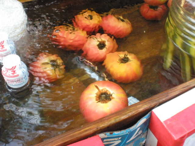 P8135212-0.JPG