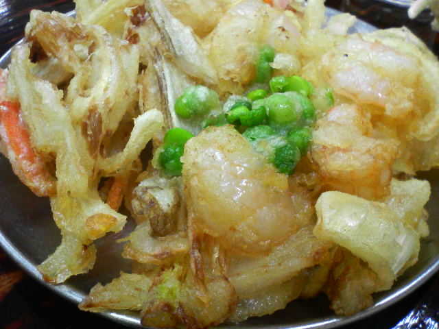 P9000321-0.JPG