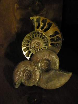 P9031744-1.JPG