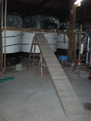 PA112711-1.JPG