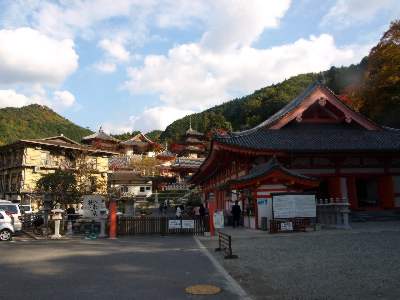 PB232812-0.JPG