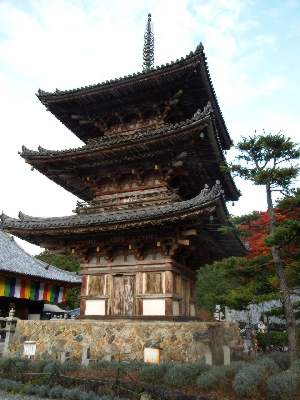 PB232835-1.JPG