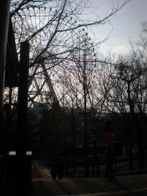PC308884-1.JPG