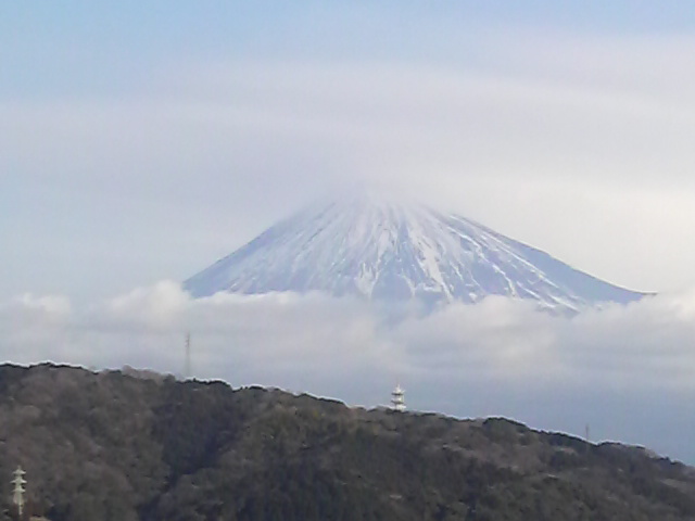 P1001737.jpg