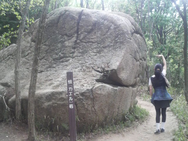 P1001983.jpg