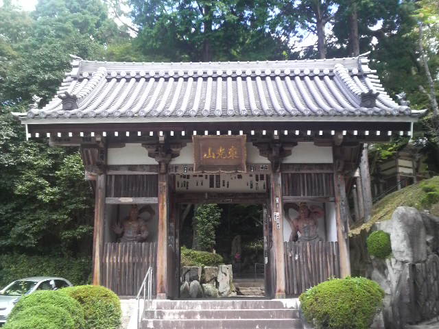 P1002169.jpg