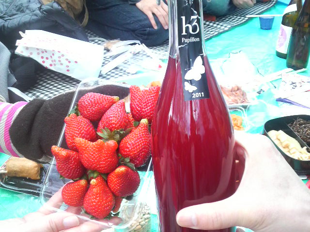 2012040712440000.jpg