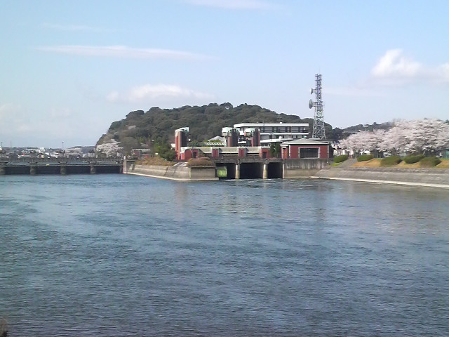 P1002687.jpg