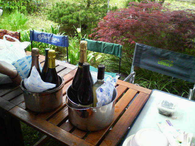 201205031231000.jpg