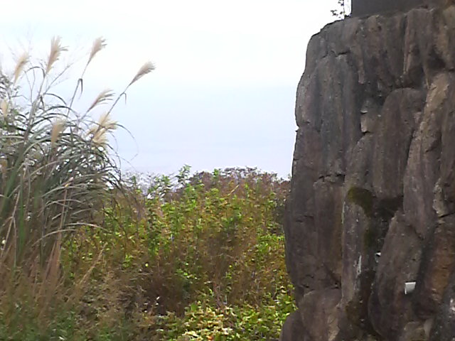 P1003107.jpg
