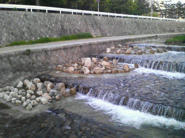 201305140535000.jpg