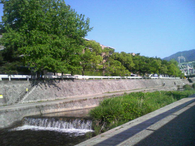 201305250718000.jpg