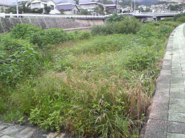 201307040652000.jpg
