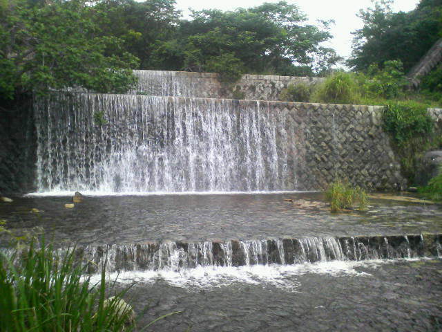 201307160630000.jpg