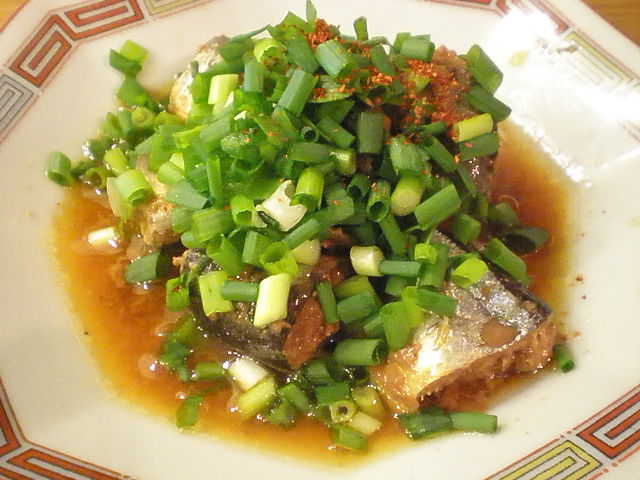 P5081861-0.JPG