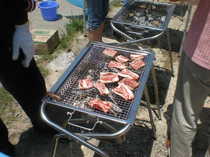 P5302340-0.JPG