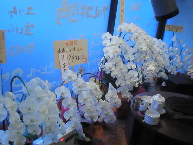 P7243479-0.JPG