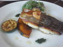 P8284112-0.JPG