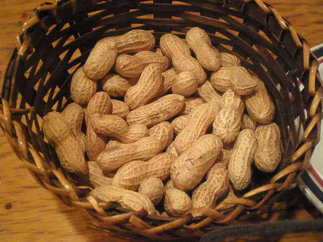 P9100232-0.JPG