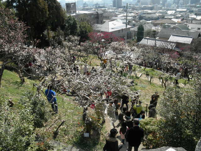 P2270092-0.JPG