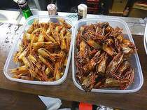 P1273843-00.JPG
