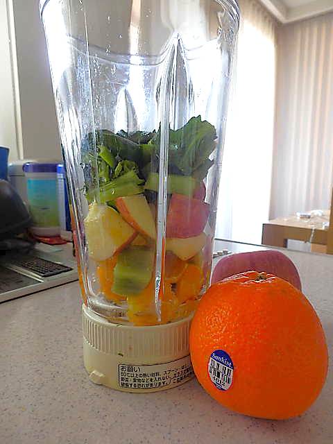 P2100230-11.JPG