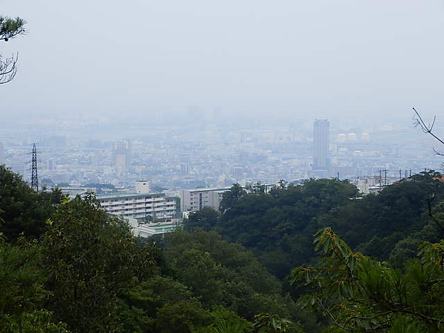 P7284084-0.JPG