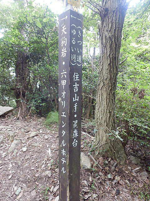 P7284088-1.JPG
