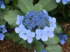 P7284107-0.JPG