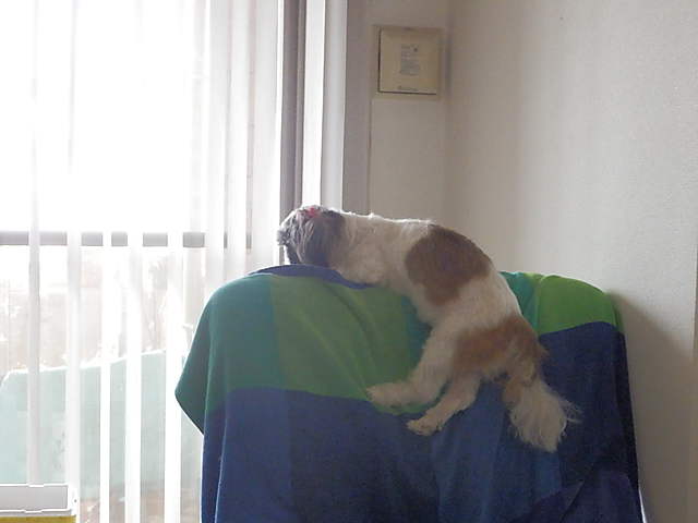 P9164983-0.JPG