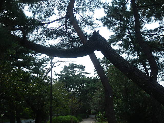 P9234485-0.JPG