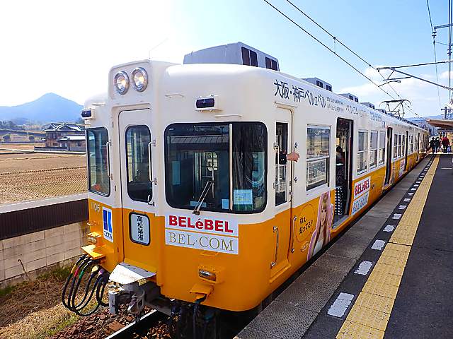 P2220477C-0.jpg