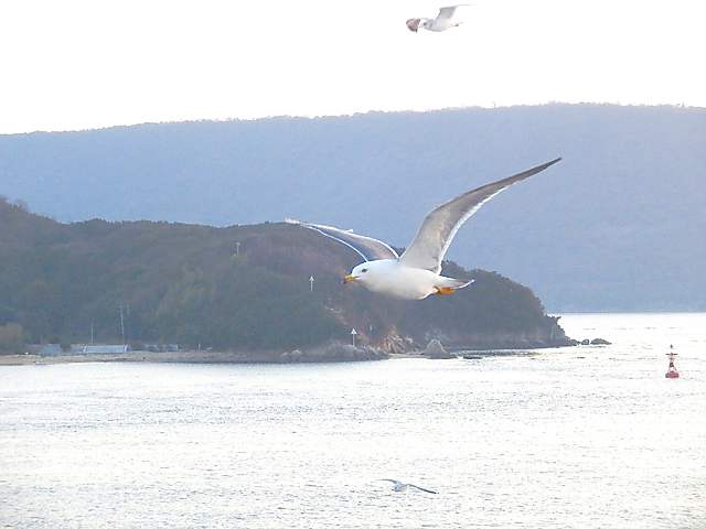 P2220525C-0.jpg